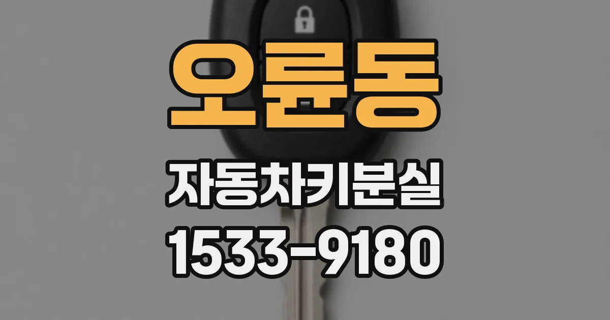 오륜동 자동차키분실