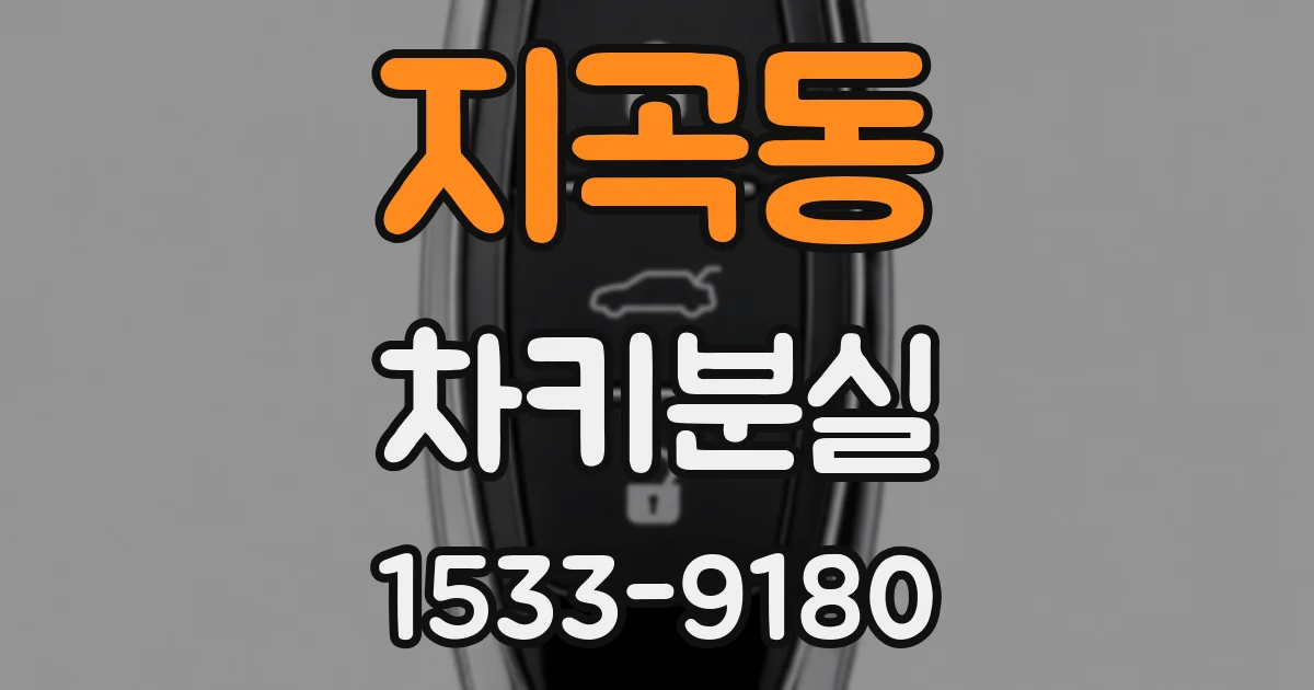지곡동 차키분실