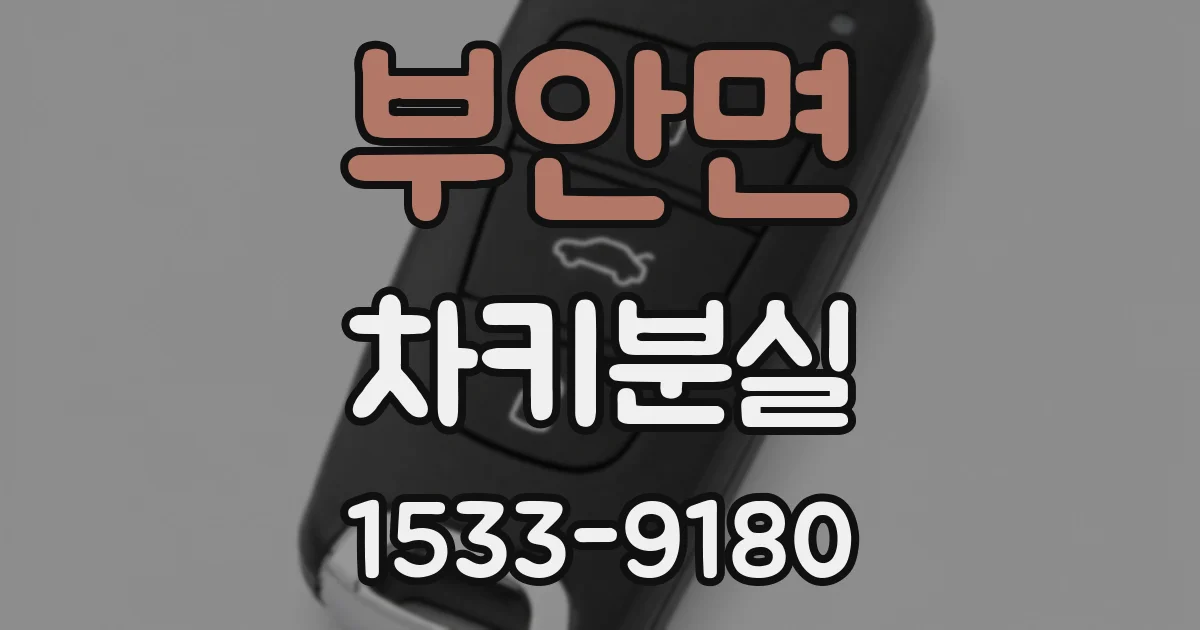 부안면 차키분실