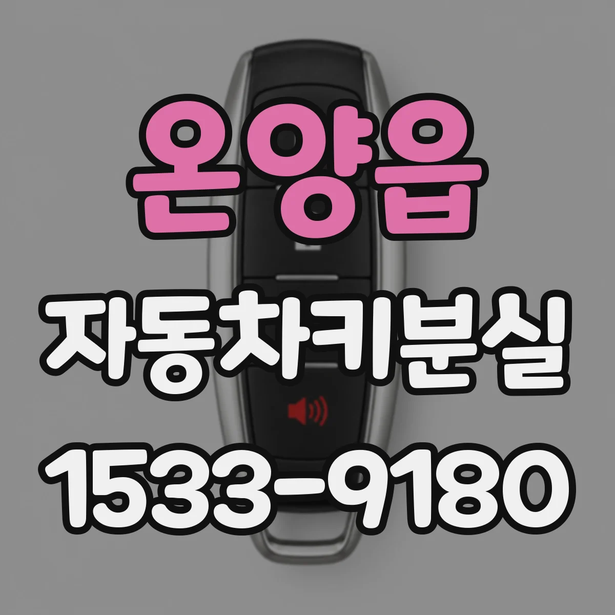 온양읍 자동차키분실