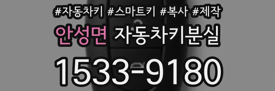 안성면 자동차키분실