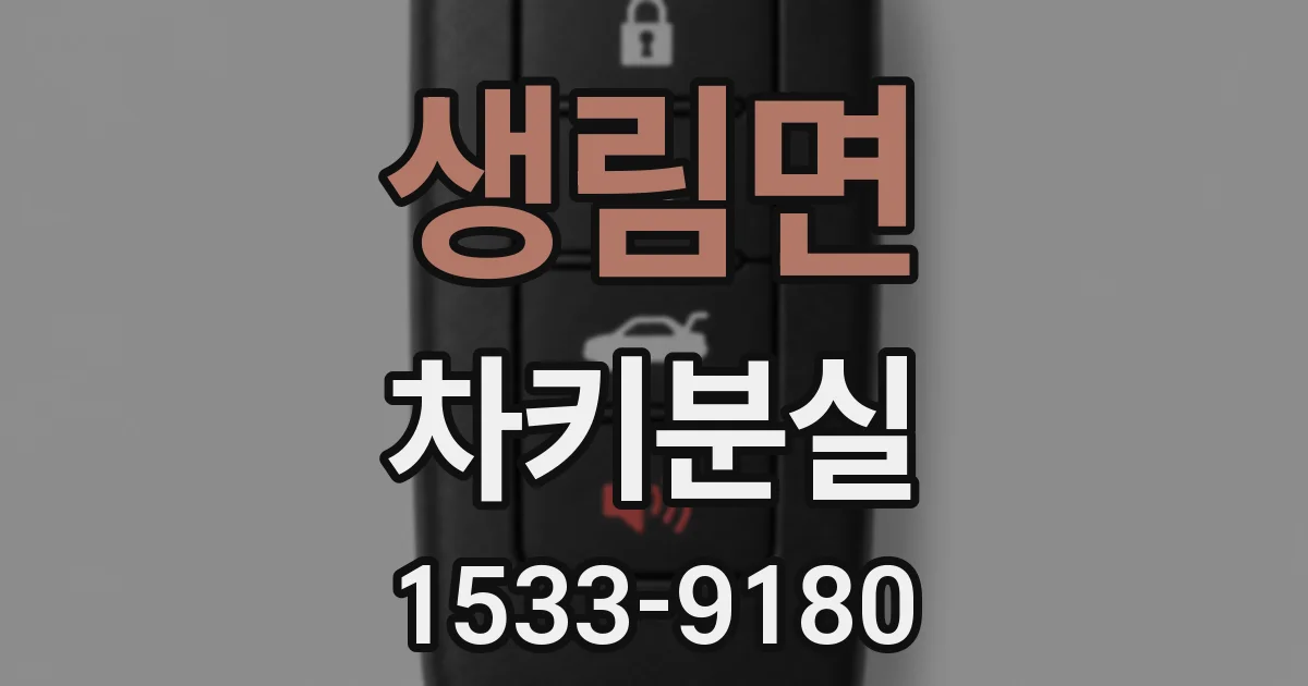생림면 차키분실