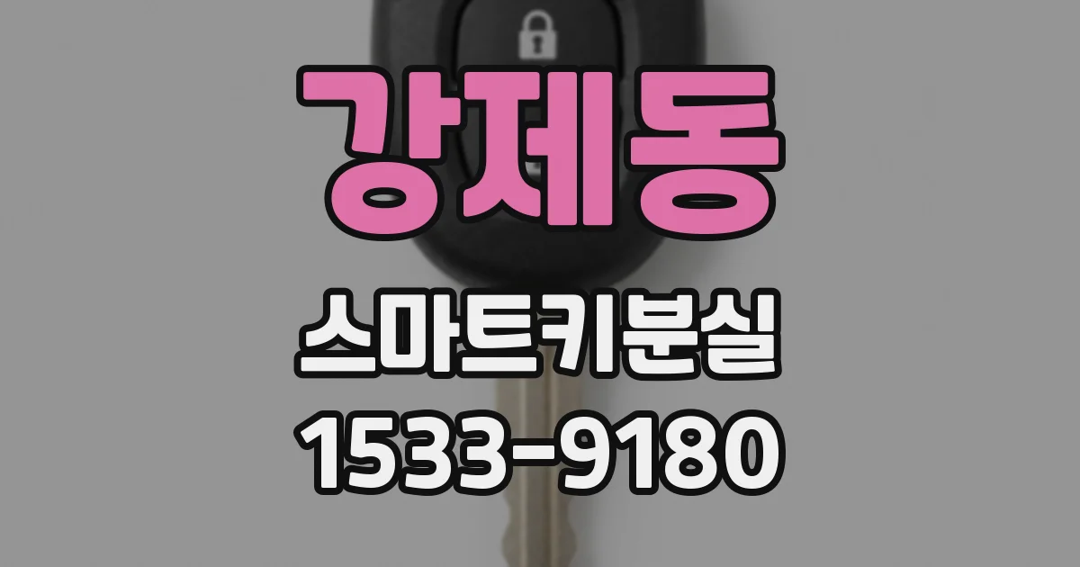강제동 스마트키분실