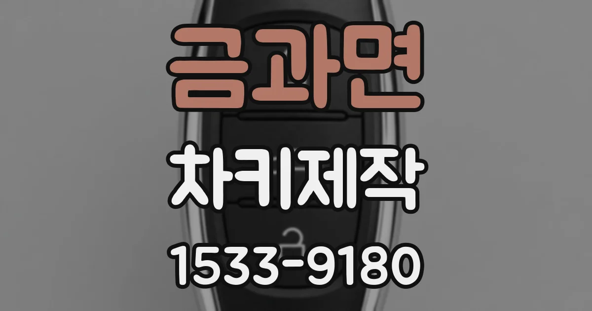 금과면 차키제작