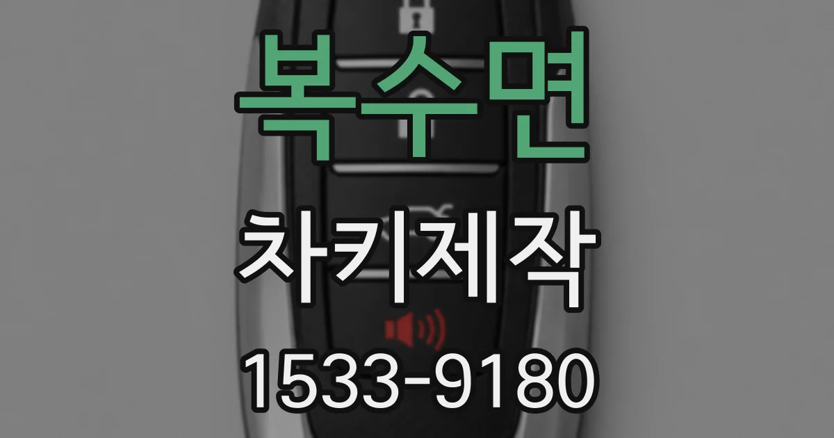 복수면 차키제작