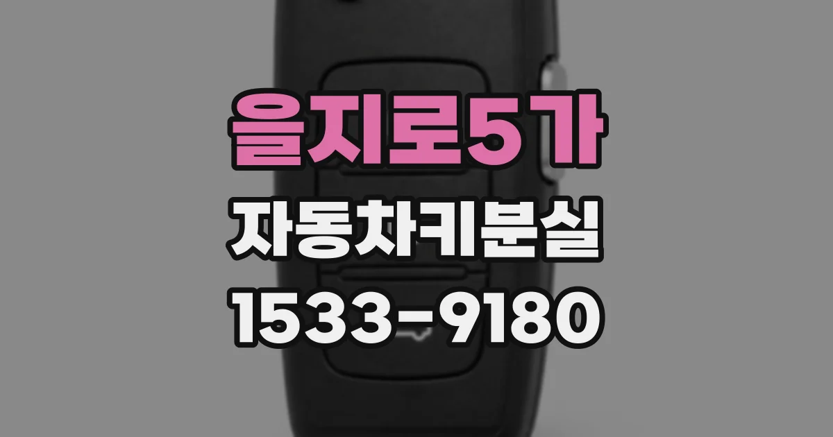 을지로5가 자동차키분실