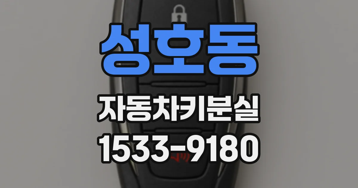 성호동 자동차키분실