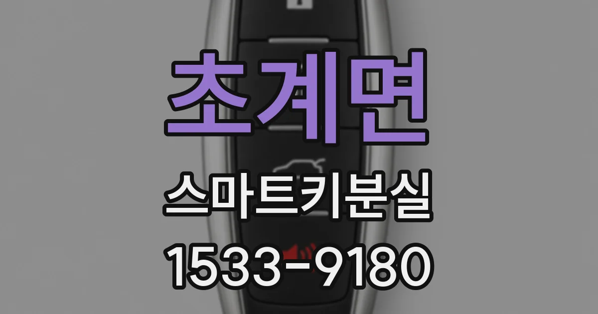 초계면 스마트키분실