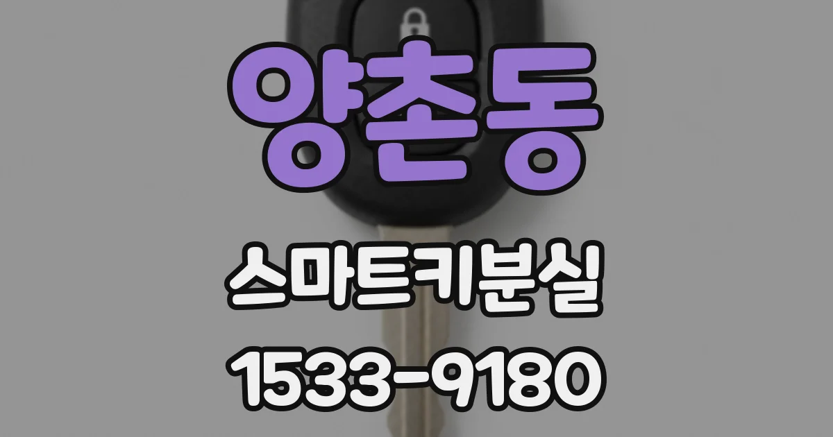 양촌동 스마트키분실
