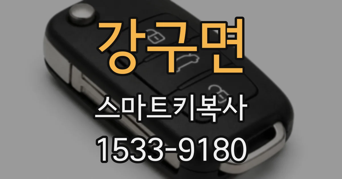 강구면 스마트키복사