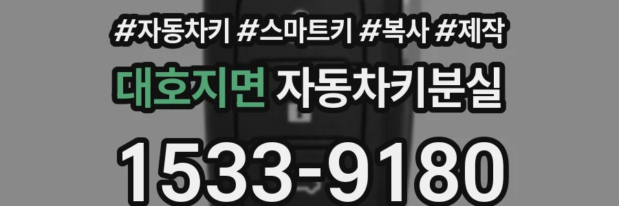 대호지면 자동차키분실