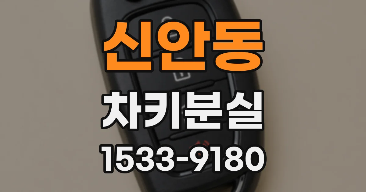 신안동 차키분실