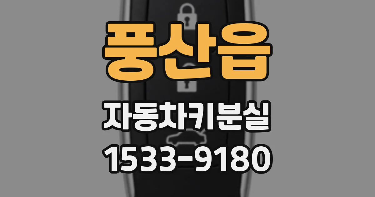 풍산읍 자동차키분실