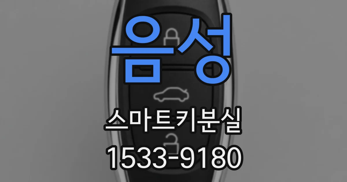 음성 스마트키분실