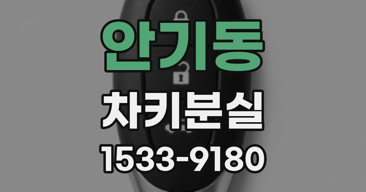 안기동 차키분실