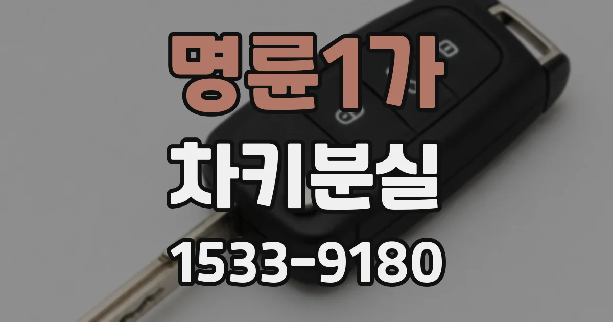 명륜1가 차키분실