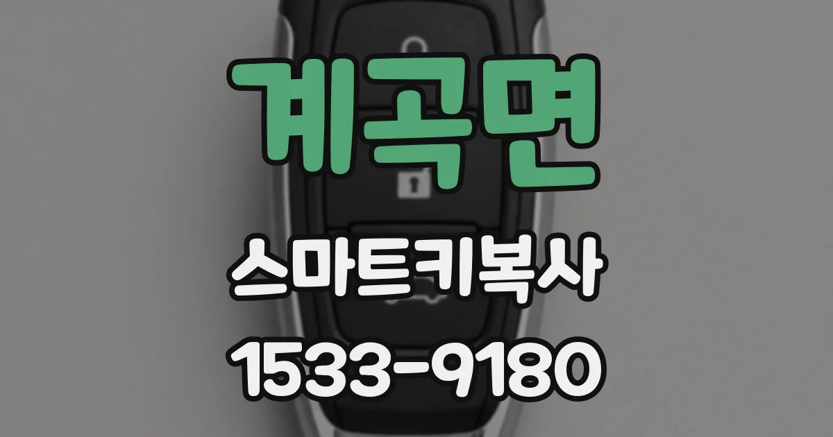 계곡면 스마트키복사