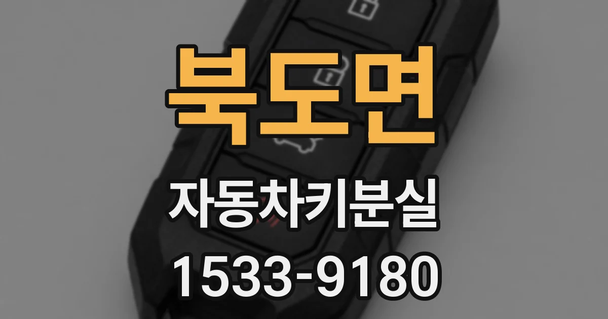 북도면 자동차키분실