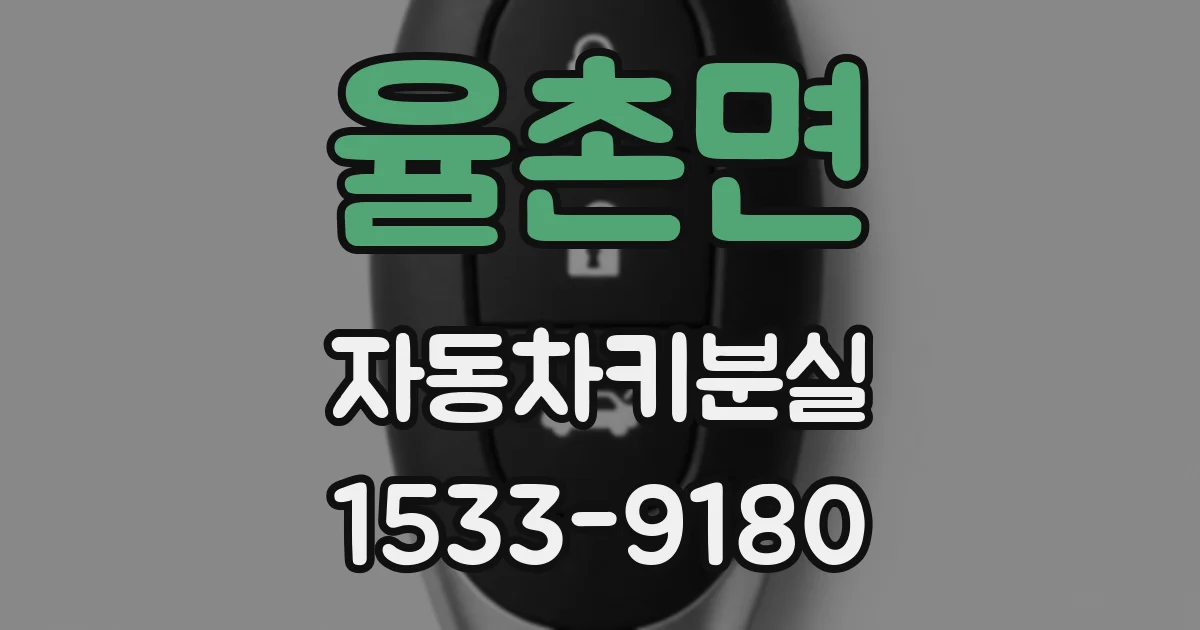 율촌면 자동차키분실