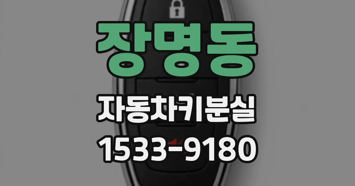 장명동 자동차키분실