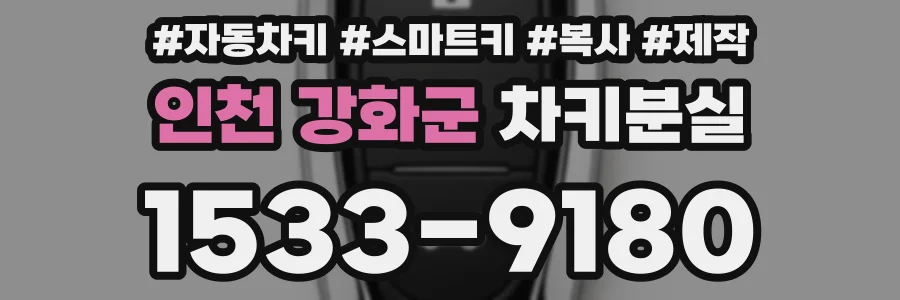 인천 강화군 차키분실