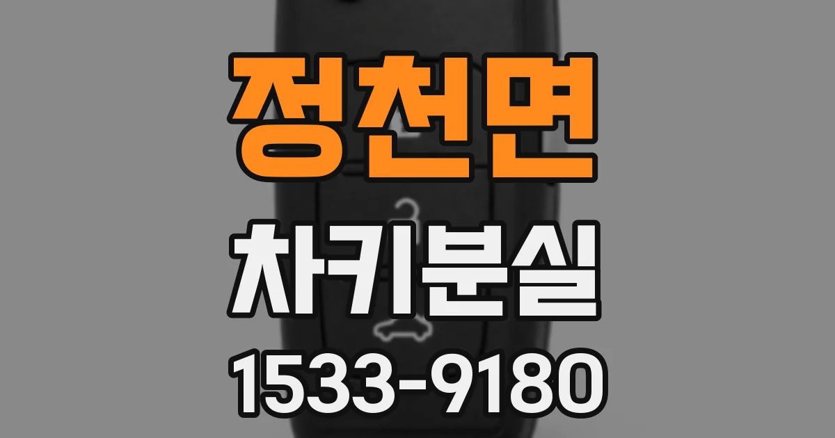 정천면 차키분실