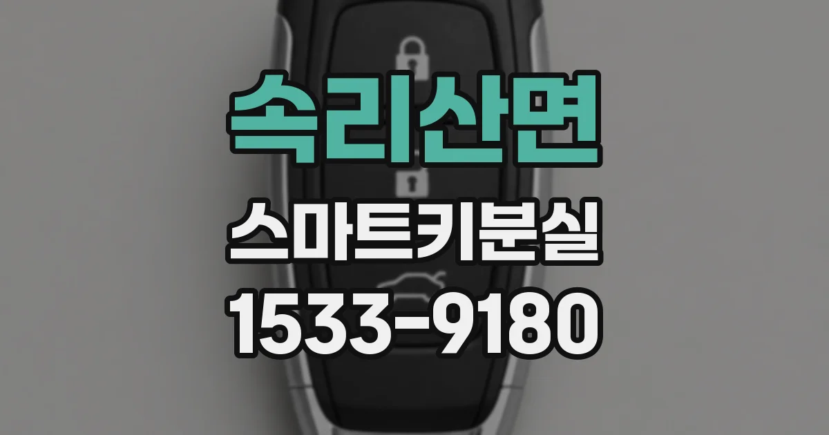 속리산면 스마트키분실