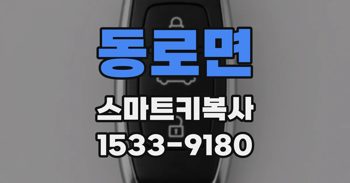 동로면 스마트키복사