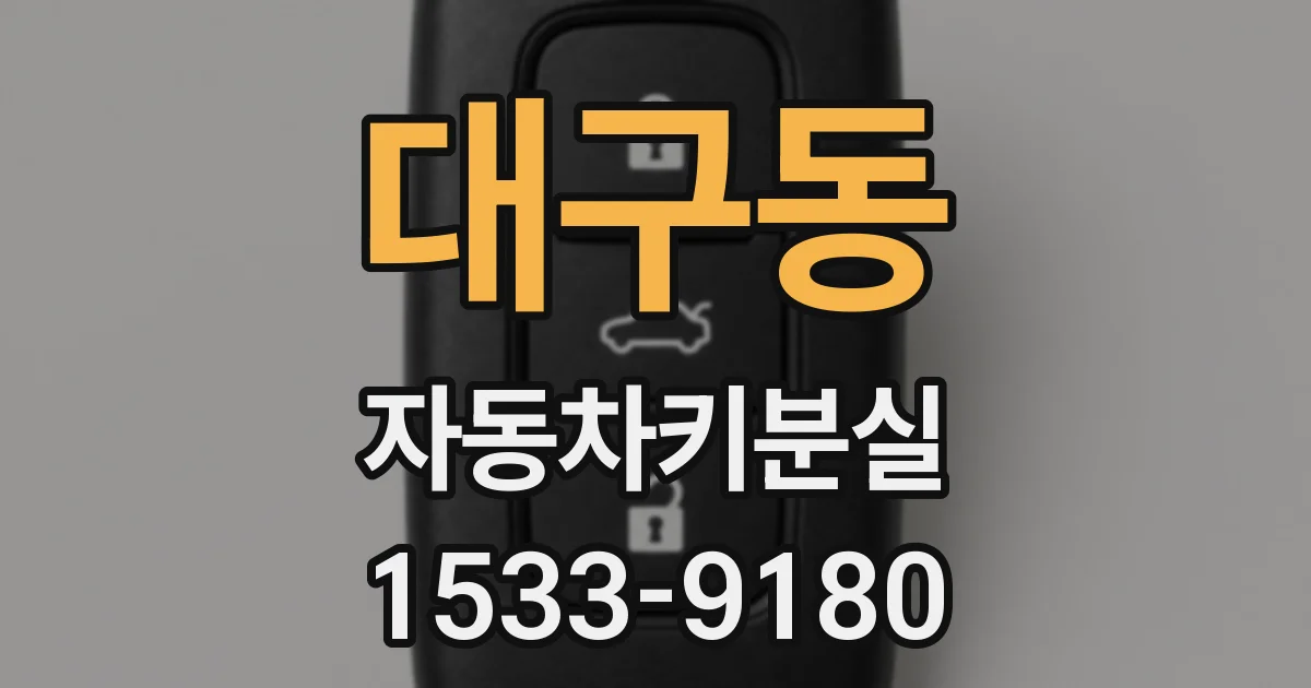 대구동 자동차키분실
