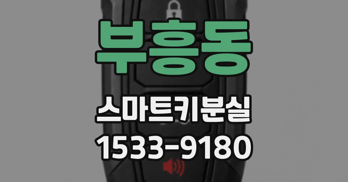 부흥동 스마트키분실
