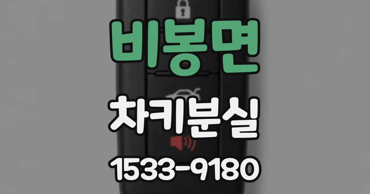 비봉면 차키분실