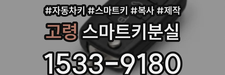 고령 스마트키분실