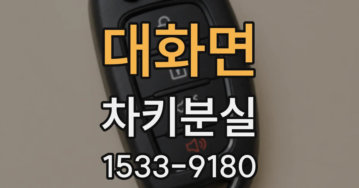 대화면 차키분실