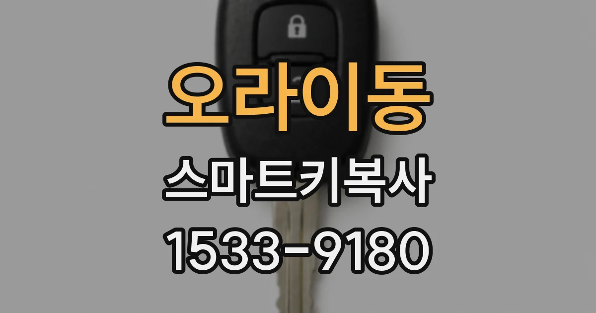 오라이동 스마트키복사