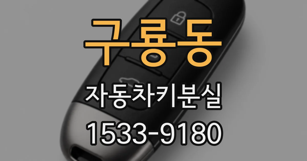 구룡동 자동차키분실