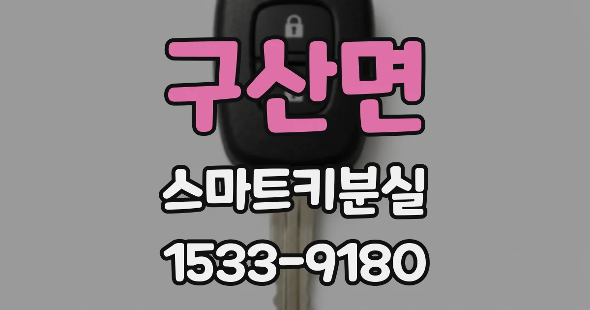 구산면 스마트키분실