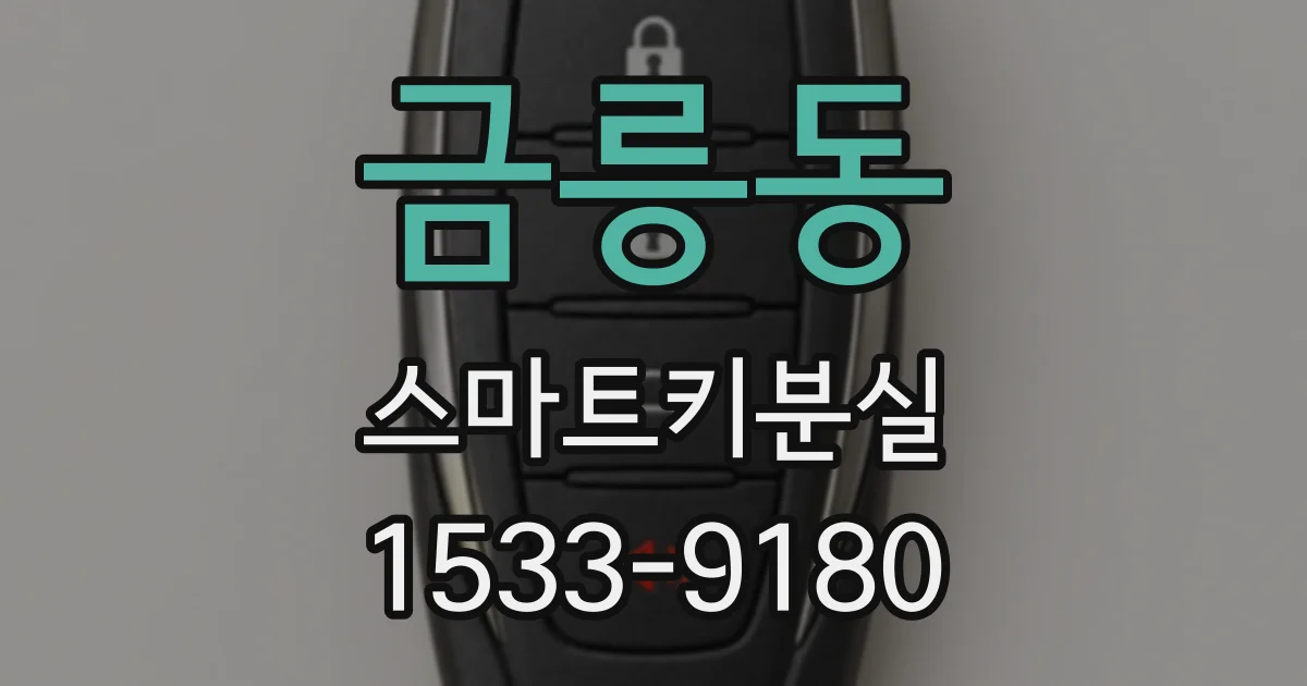 금릉동 스마트키분실