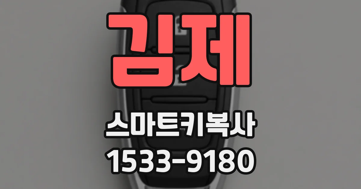 김제 스마트키복사
