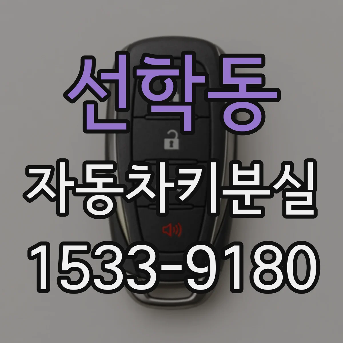 선학동 자동차키분실