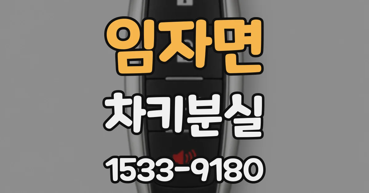 임자면 차키분실