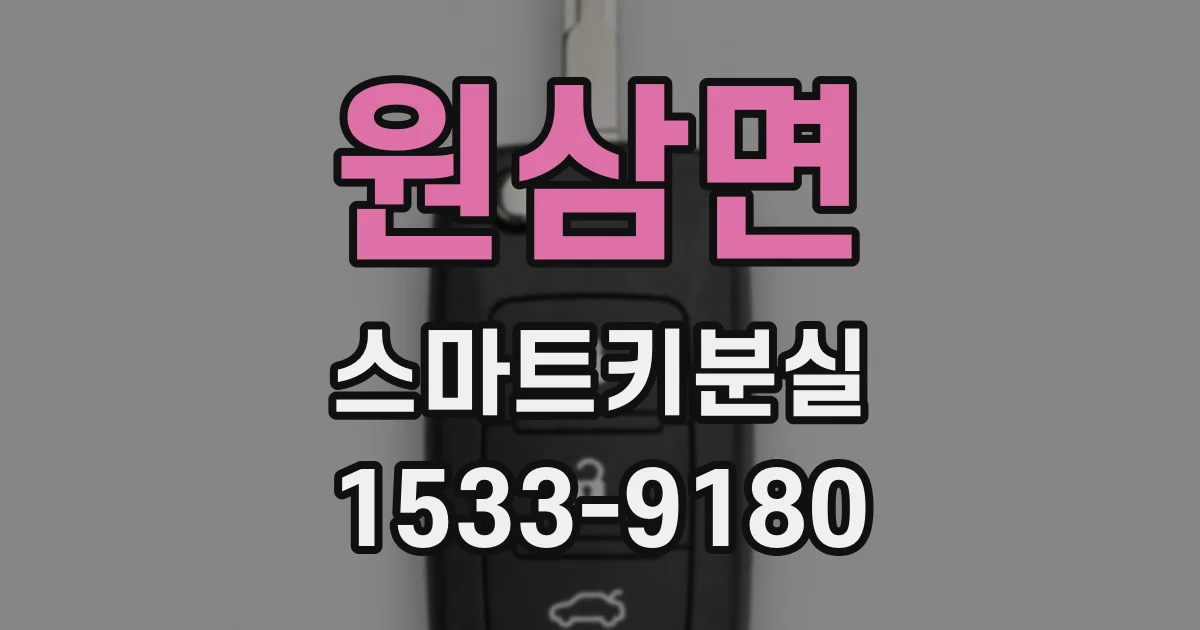 원삼면 스마트키분실