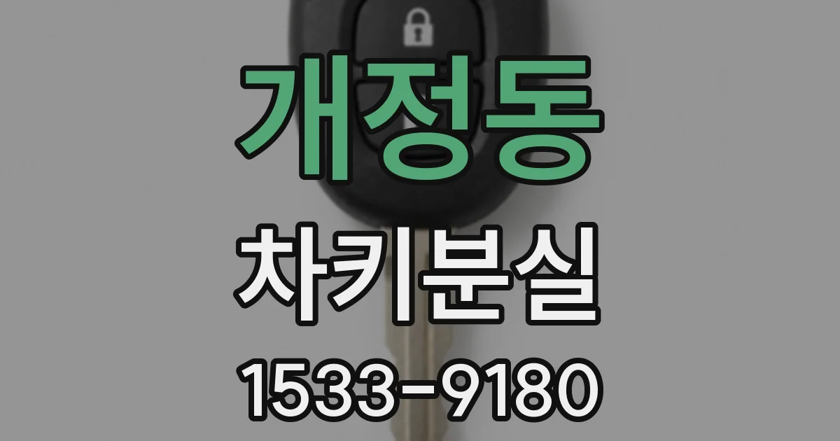 개정동 차키분실