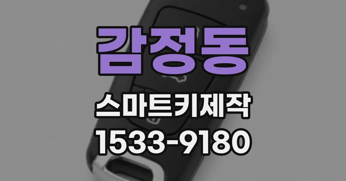감정동 스마트키제작