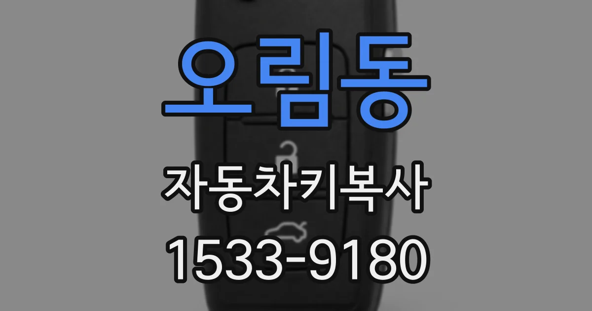 오림동 자동차키복사