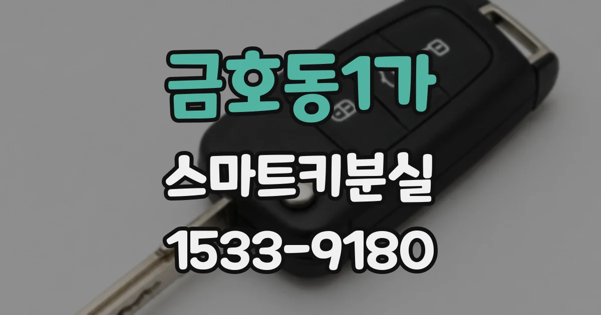 금호동1가 스마트키분실