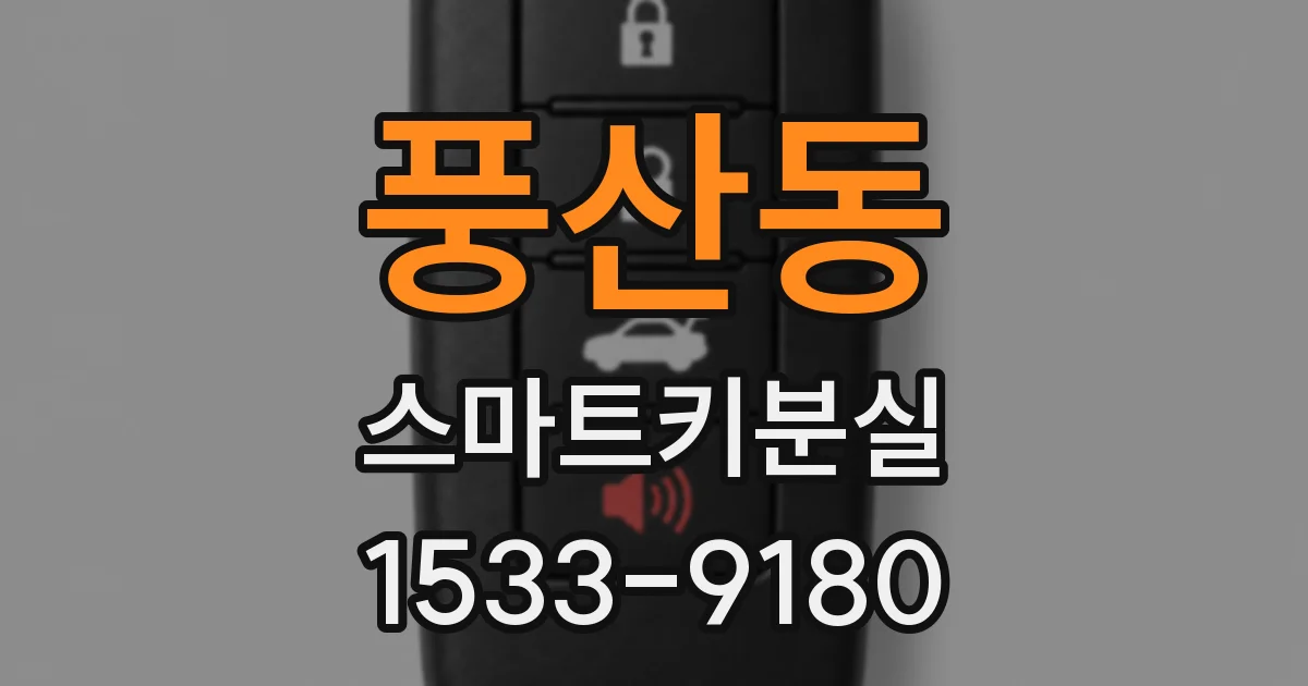 풍산동 스마트키분실