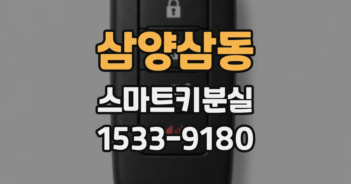 삼양삼동 스마트키분실