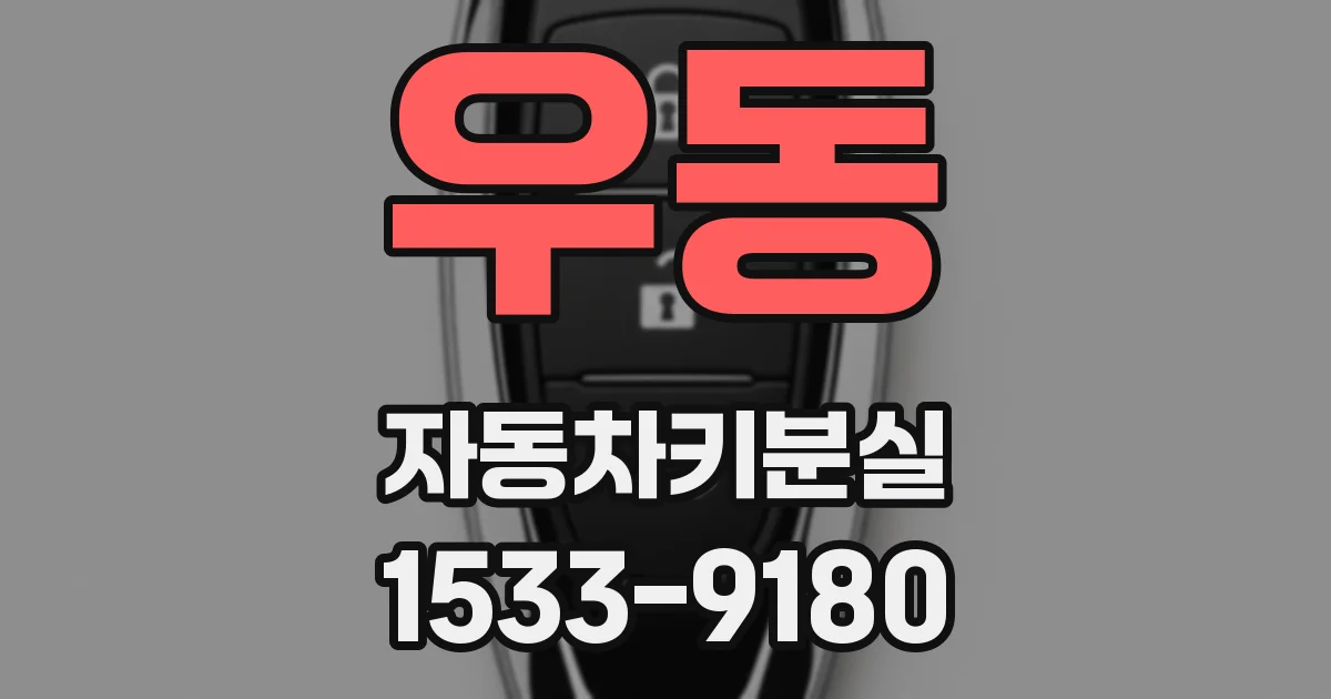 우동 자동차키분실