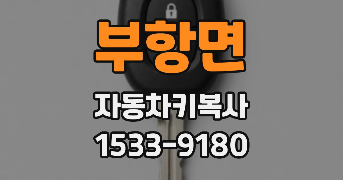 부항면 자동차키복사