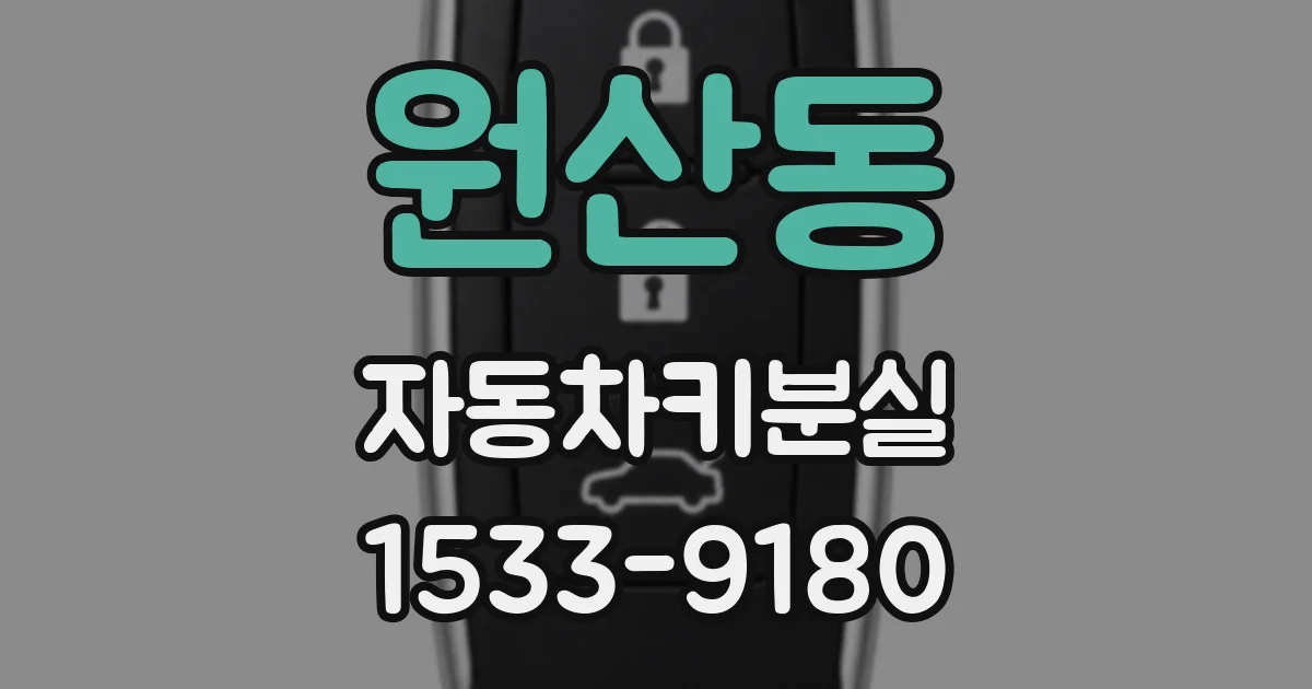 원산동 자동차키분실